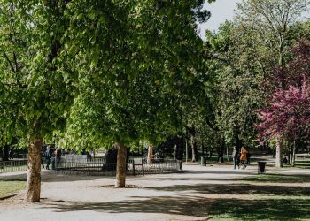 Parks & Activities